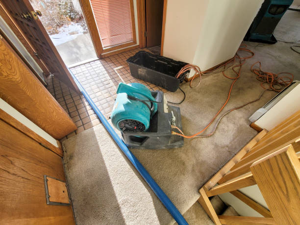 Best Flood damage cleanup  in Valenti, NE