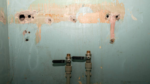 Best Mold removal after water damage  in Valenti, NE