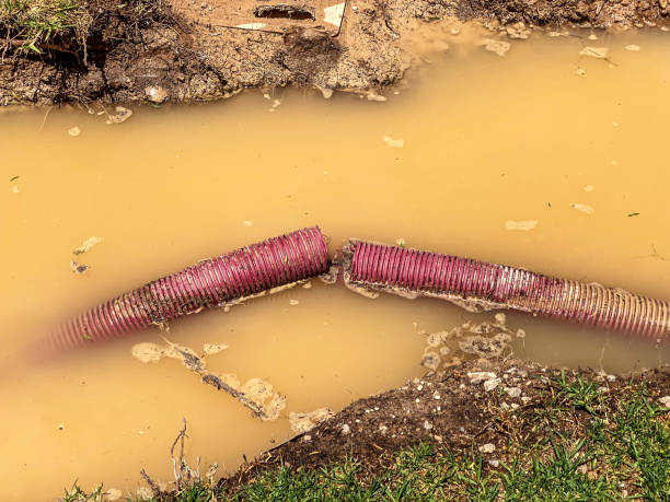 Best Water damage contractors near me  in Valenti, NE